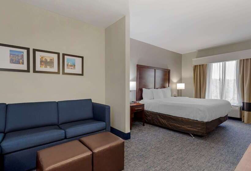 ホテル Comfort Suites Stockbridge Atlanta South