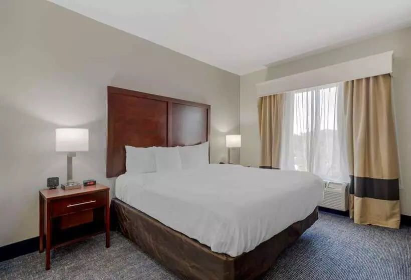 Отель Comfort Suites Stockbridge Atlanta South