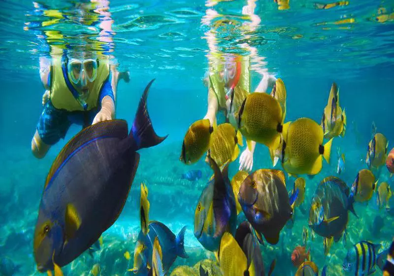 هتل Le Vieux Nice Inn