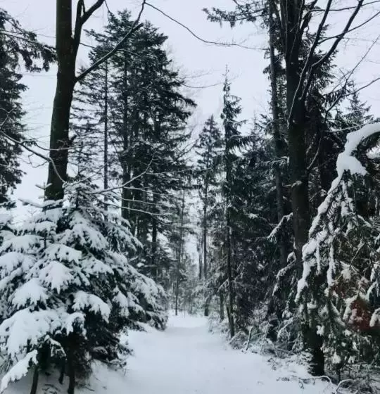 Trip Inn Aktivhotel & Restaurant Sonnenhof Bei Passau Ehemals Sporthotel Sonnenhof