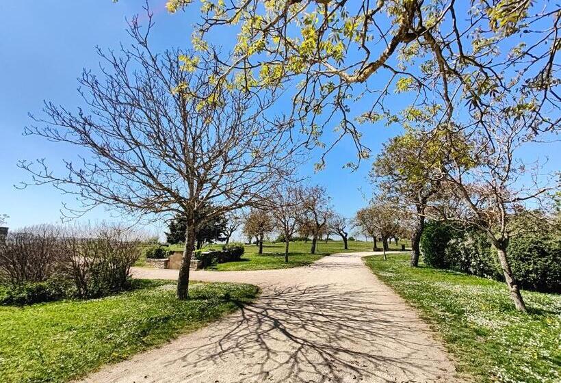 פנסיון La Suite