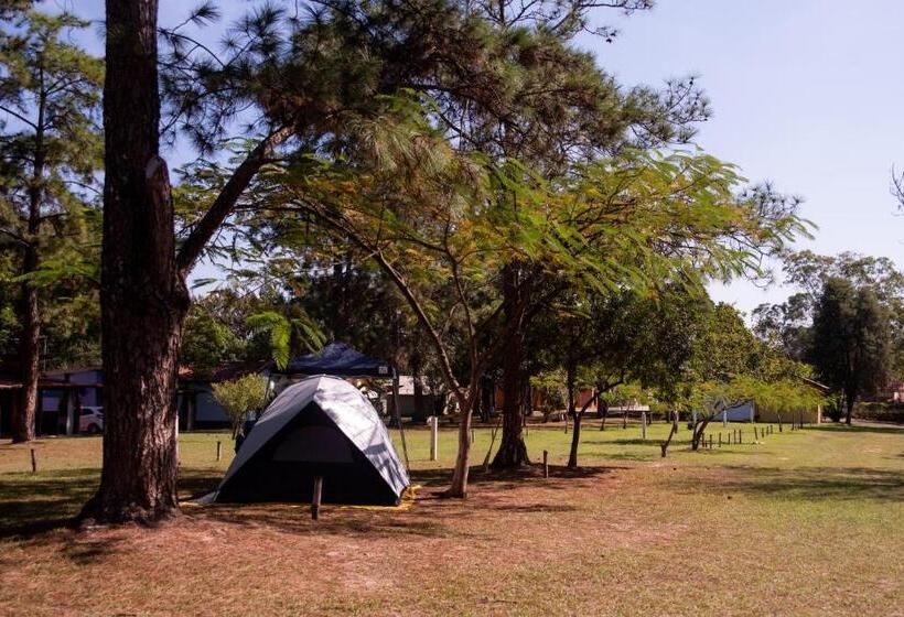 膳宿费 Pousada E Camping Carrion