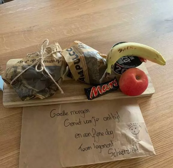 Hotelli Schierzicht Logement