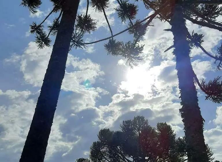 Retkeilymaja Pousada Rural Ipê Florido