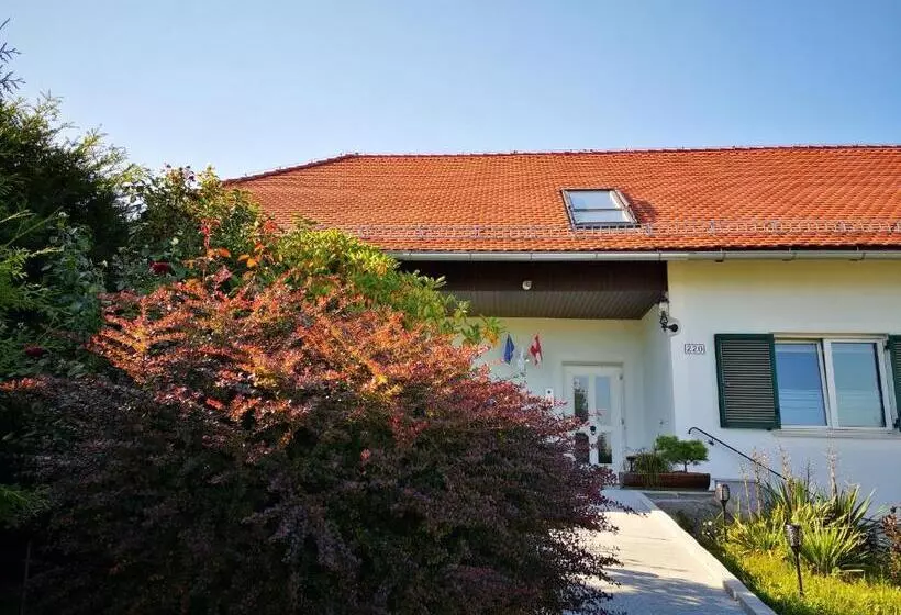 Aparthotel Goldener Hahn Apartments