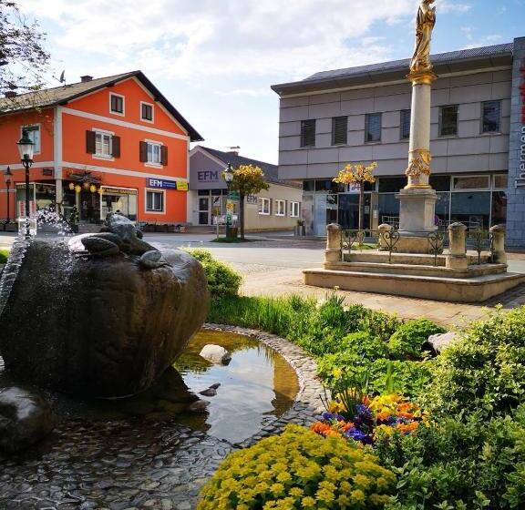 Aparthotel Goldener Hahn Apartments