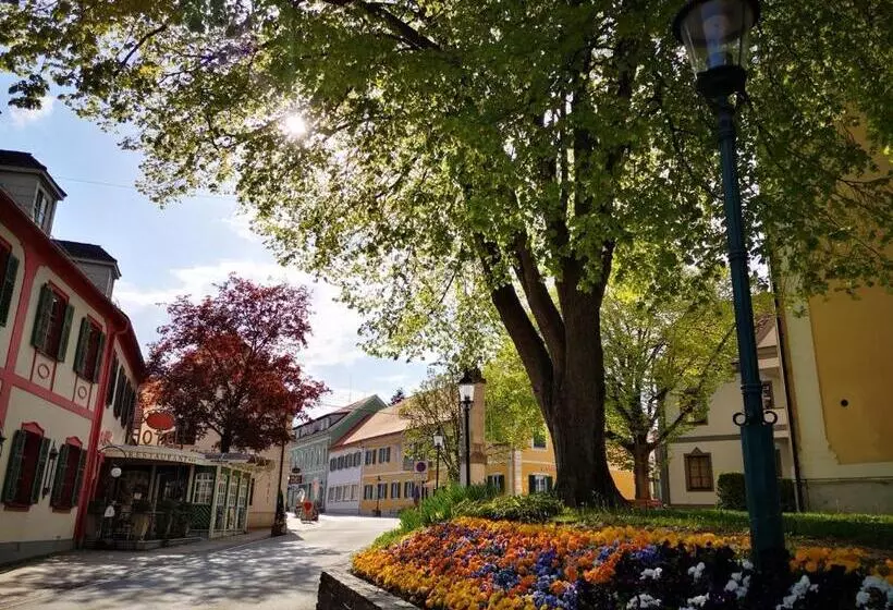 Aparthotel Goldener Hahn Apartments