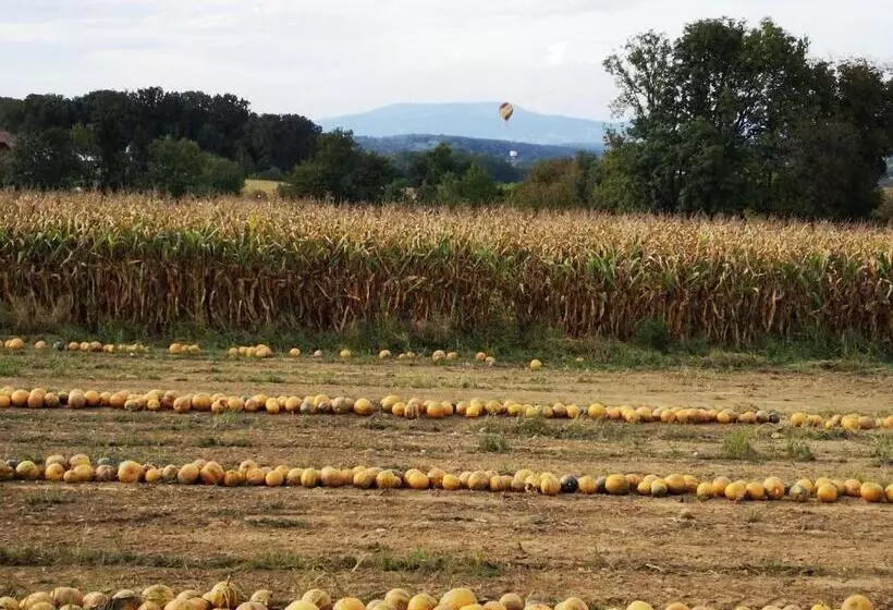 Aparthotel Goldener Hahn Apartments