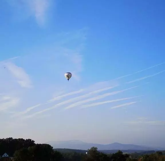 Aparthotel Goldener Hahn Apartments