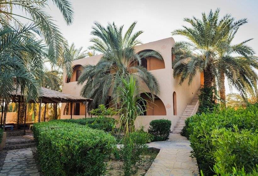 هتل Seliyaa Siwa Inn