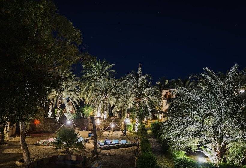 هتل Seliyaa Siwa Inn