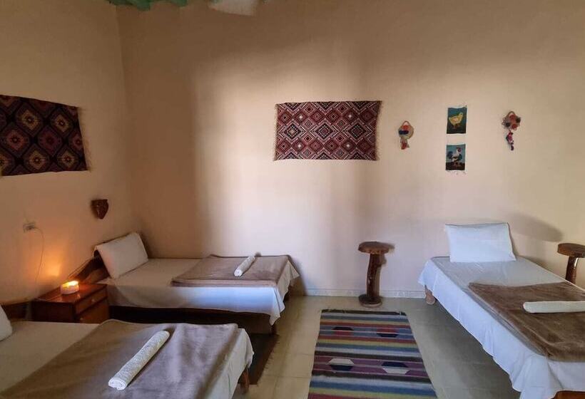 هتل Seliyaa Siwa Inn