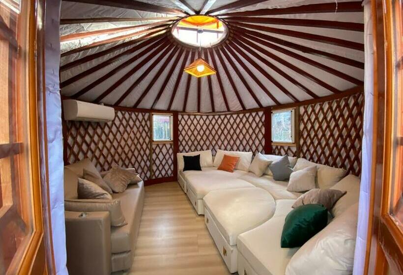 Pensão One Night, One View, One Destiny   Vacation Stay 05344v