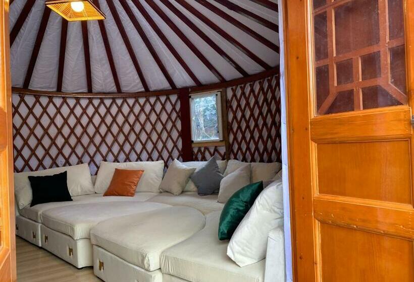 Pensão One Night, One View, One Destiny   Vacation Stay 05344v