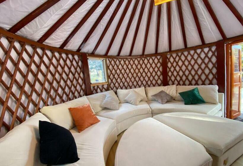 Pensão One Night, One View, One Destiny   Vacation Stay 05344v