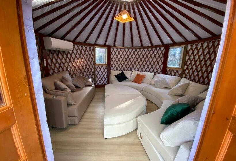 Pensão One Night, One View, One Destiny   Vacation Stay 05344v