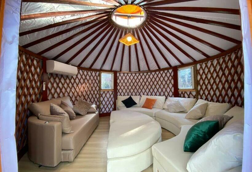 Pensão One Night, One View, One Destiny   Vacation Stay 05344v