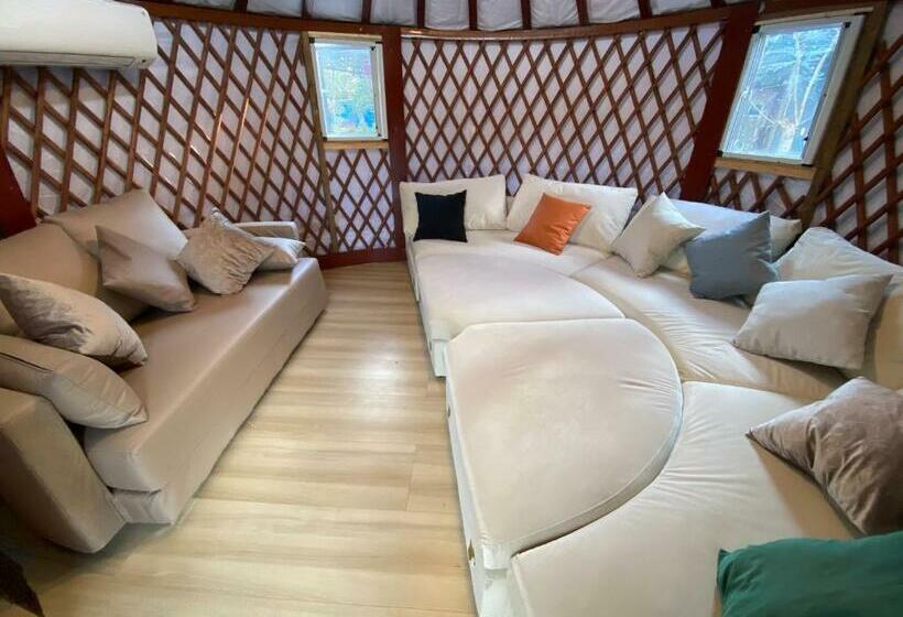 Pensão One Night, One View, One Destiny   Vacation Stay 05344v