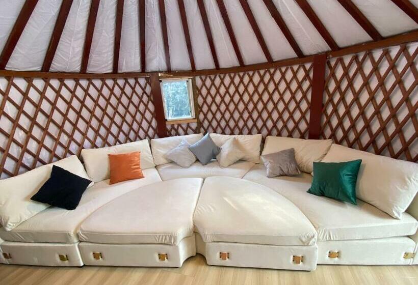 Pensão One Night, One View, One Destiny   Vacation Stay 05344v