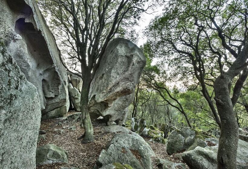 호텔 Gallicantu Stazzo Retreat