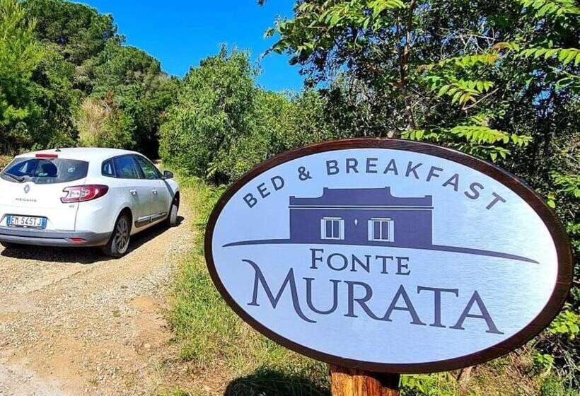 Fonte Murata B&b