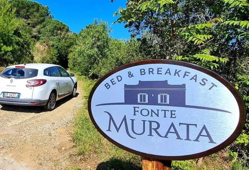 Fonte Murata B&b