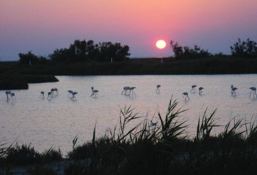 تختخواب و صبحانه Chambre Les Flamants, Vue Sur Les étangs, Les Oiseaux, Les Flamants, Petit Déjeuner Compris