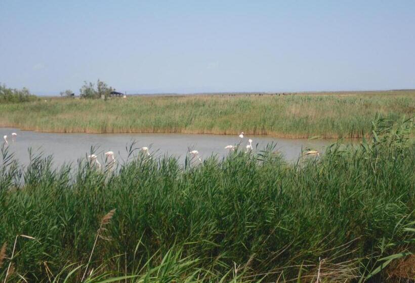 تختخواب و صبحانه Chambre Les Flamants, Vue Sur Les étangs, Les Oiseaux, Les Flamants, Petit Déjeuner Compris