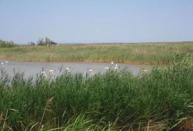 Aamiaismajoitus (B&B) Chambre Les Flamants, Vue Sur Les étangs, Les Oiseaux, Les Flamants, Petit Déjeuner Compris