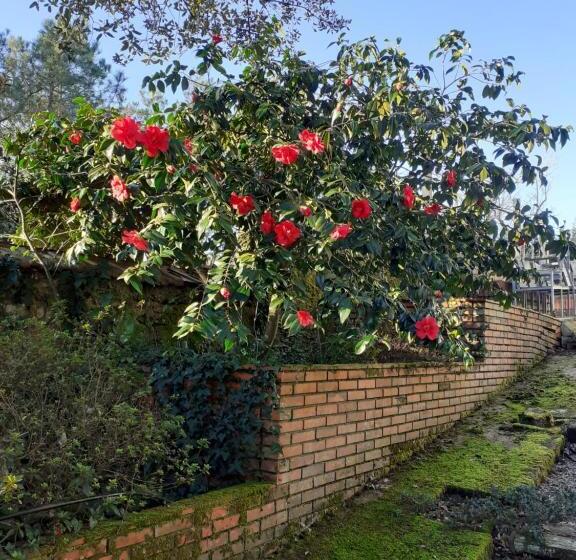 ベッドアンドブレックファースト Château Des Bretonnières Sur Vie   Maison D Hôtes