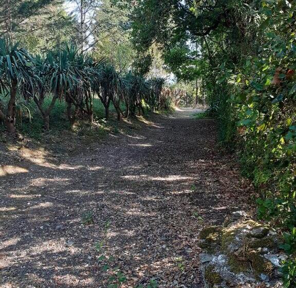 ベッドアンドブレックファースト Château Des Bretonnières Sur Vie   Maison D Hôtes