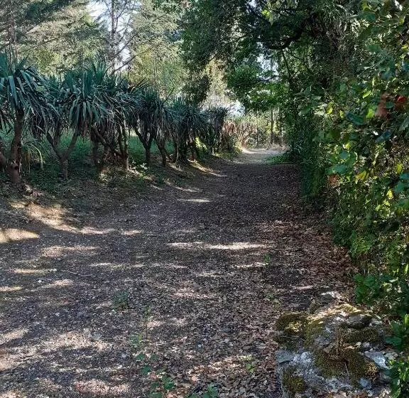 ベッドアンドブレックファースト Château Des Bretonnières Sur Vie   Maison D Hôtes