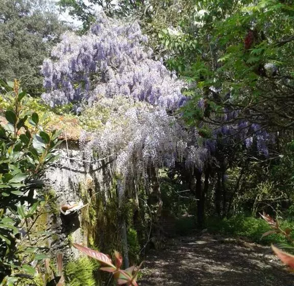 ベッドアンドブレックファースト Château Des Bretonnières Sur Vie   Maison D Hôtes