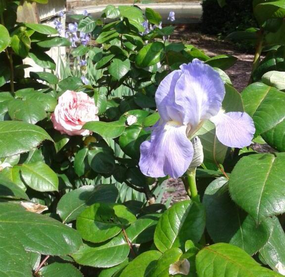 ベッドアンドブレックファースト Château Des Bretonnières Sur Vie   Maison D Hôtes