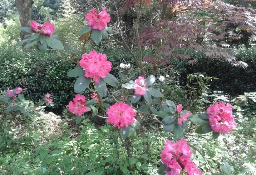 ベッドアンドブレックファースト Château Des Bretonnières Sur Vie   Maison D Hôtes