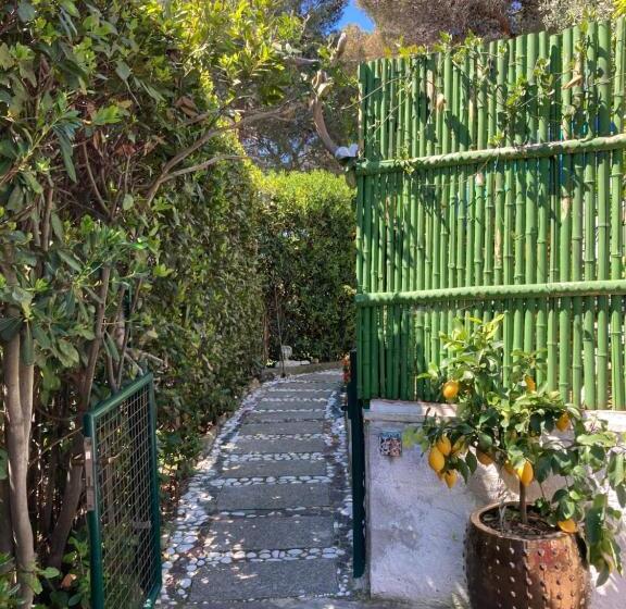 بنسيون Oasi Del Cuore Due Graziose Camere Con Vista Mare A 7 Min Dal Mare Di Castiglioncello