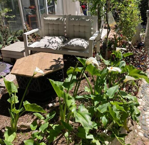 بنسيون Oasi Del Cuore Due Graziose Camere Con Vista Mare A 7 Min Dal Mare Di Castiglioncello