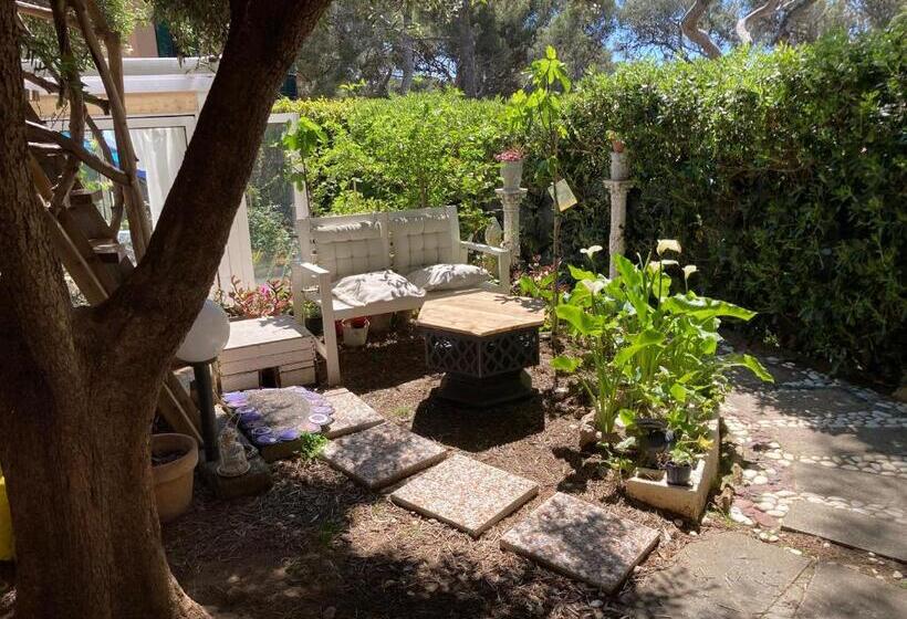 بنسيون Oasi Del Cuore Due Graziose Camere Con Vista Mare A 7 Min Dal Mare Di Castiglioncello