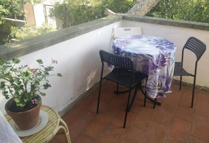 بنسيون Oasi Del Cuore Due Graziose Camere Con Vista Mare A 7 Min Dal Mare Di Castiglioncello