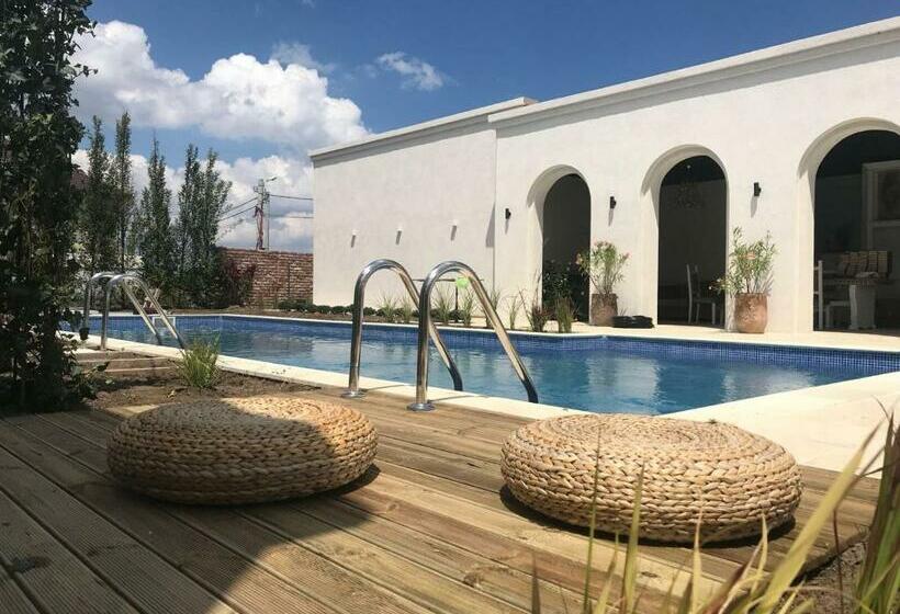 膳宿费 Elia Vama Veche