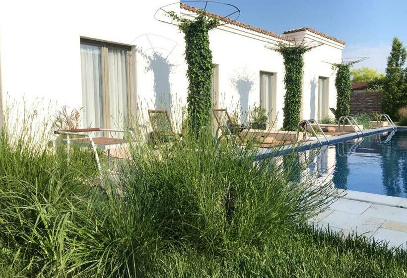 膳宿费 Elia Vama Veche