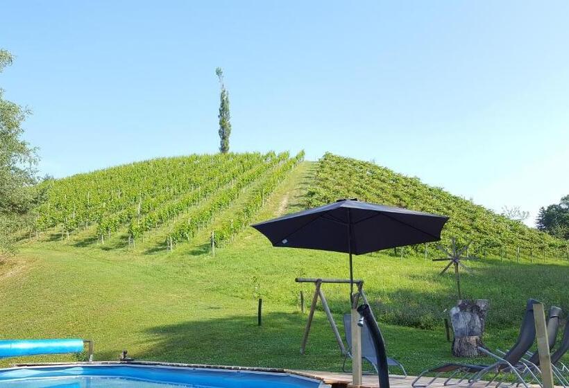 هاستل Weingut Lieschnegg