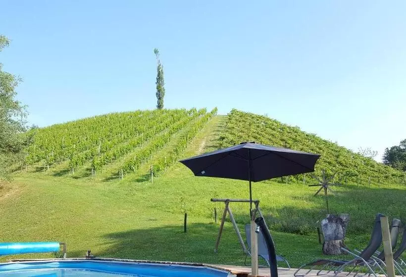 ユースホステル Weingut Lieschnegg