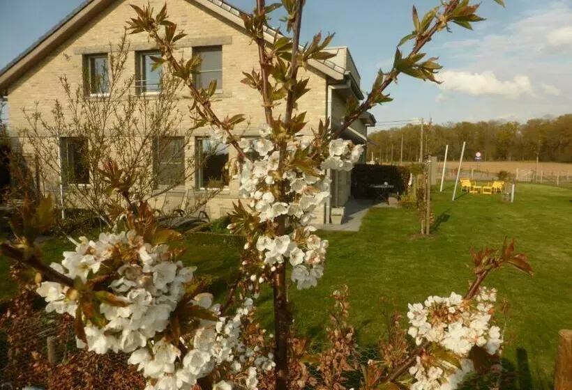 Aamiaismajoitus (B&B) De Zevende Zon