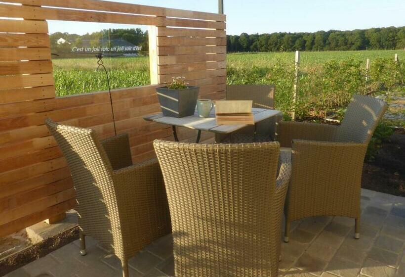 مبيت وإفطار De Zevende Zon