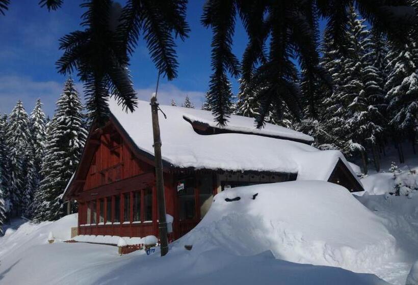 ペンション Jezírko Lesní Restaurant & Penzion