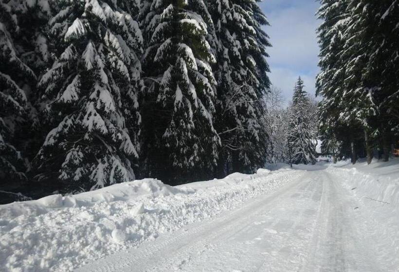 ペンション Jezírko Lesní Restaurant & Penzion