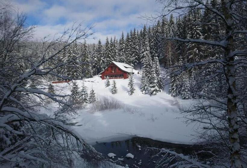 ペンション Jezírko Lesní Restaurant & Penzion