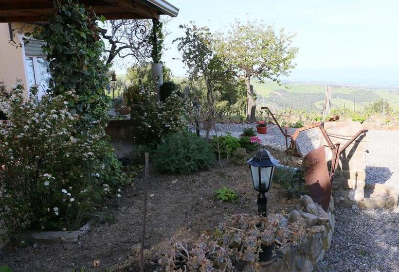 B&b Il Vigneto