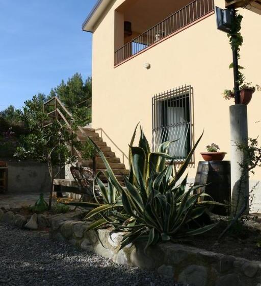 B&b Il Vigneto